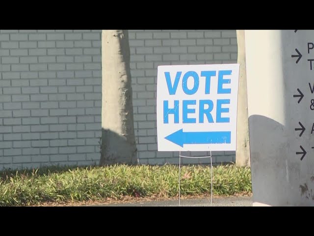 People say early voting is a way to make sure their ballot counts | Georgia Senate runoff