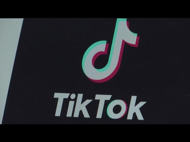 Georgia senator wants to ban TikTok