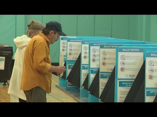 'It's part of my civic responsibility' | Voters explain the importance behind casting their ballots