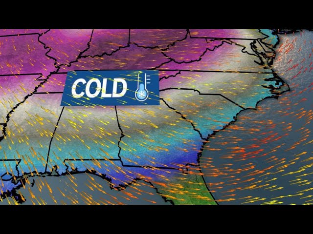 This is how cold it could get in Georgia