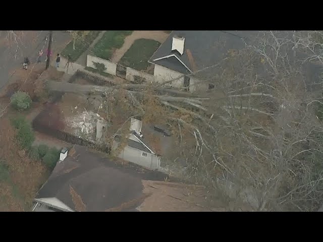 Tree falls on northeast Atlanta home
