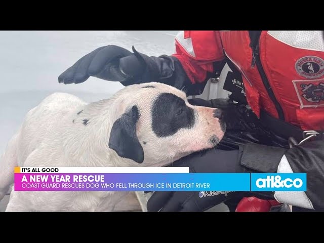Coast Guard Rescues Dog Who Fell Through Ice