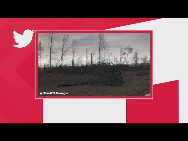 Line of trees knocked down in LaGrange storm