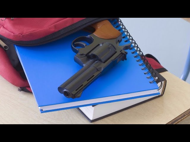 Roswell teen facing charges after bringing gun to school