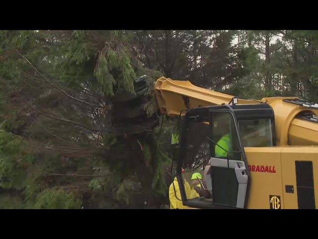 Several downed trees after severe weather hits Coweta County