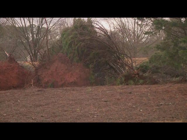 Small tornado touched down Tuesday night in Coweta County