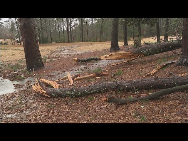 Strong storms topple trees, create sinkholes in north Georgia