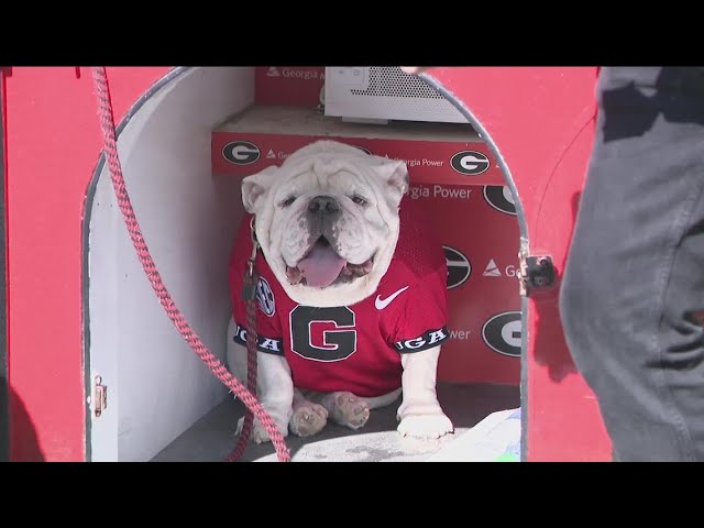 Ticket scam warning ahead of UGA National Championship game