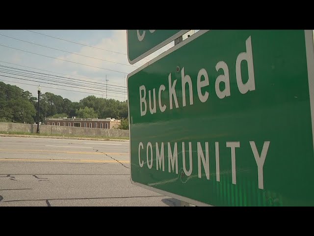 Lawmakers against Buckhead cityhood respond to charter