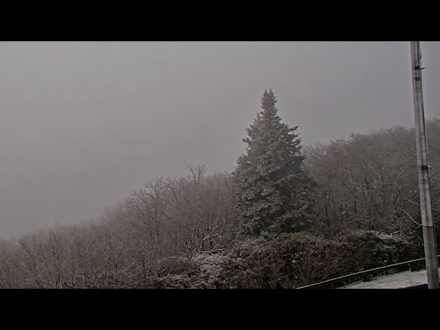 Live stream | Snow falling in far north Georgia mountains