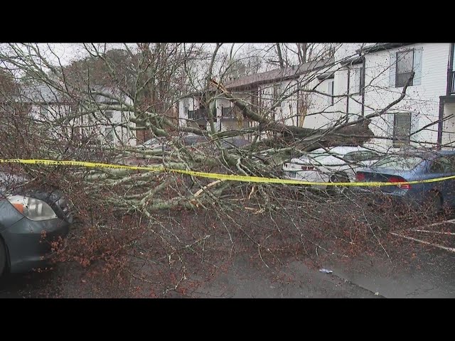 Metro Atlanta neighborhoods experience storm damage, downed trees