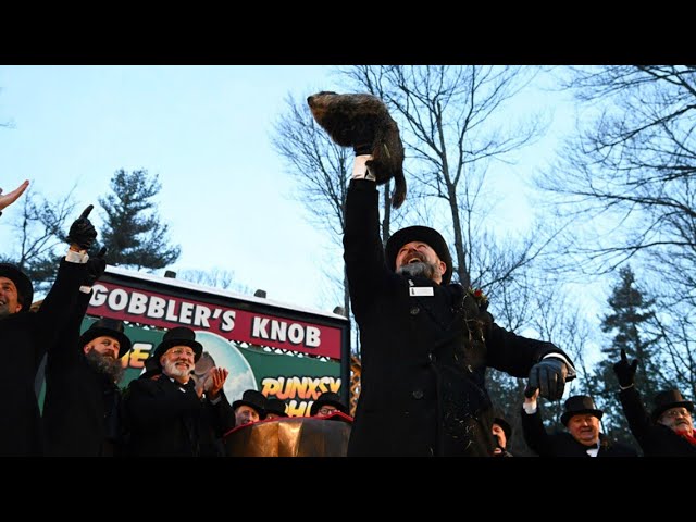 Punxsutawney Phil makes his Groundhog Day prediction | Watch Live