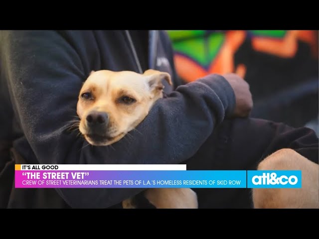 "Street Vet" Helps Pets of L.A.'s Homeless Residents
