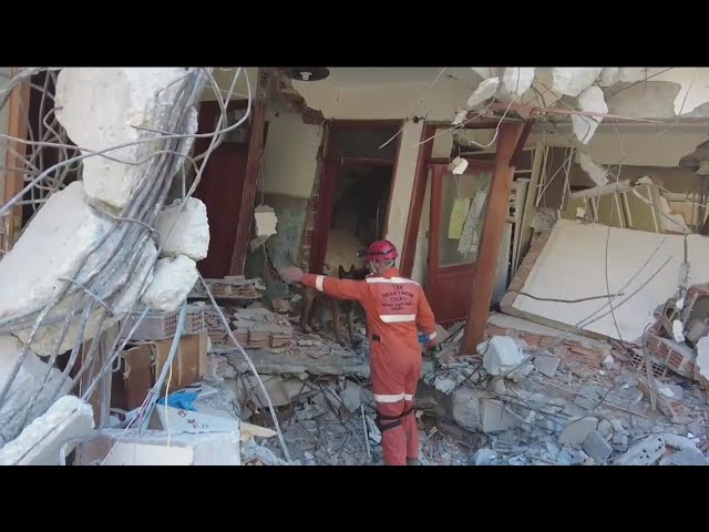 Turkey, Syria earthquake | Death toll surpasses 39,000